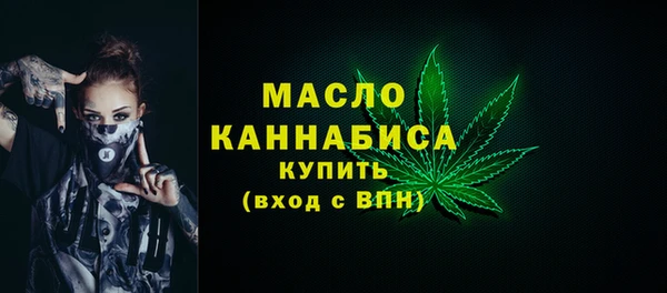 apvp Инсар