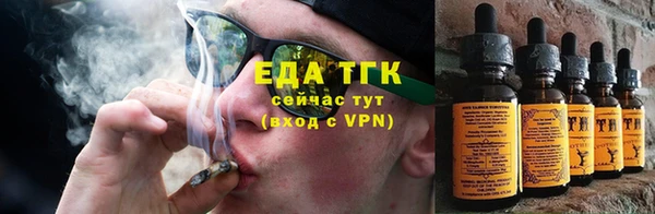 СК Инта