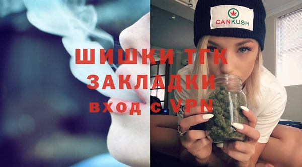 СК Инта