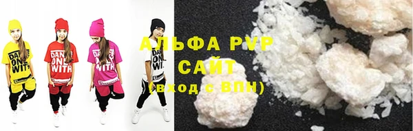apvp Инсар