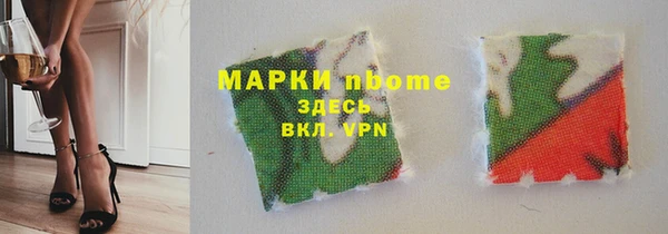 apvp Инсар