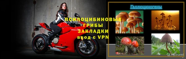 СК Инта