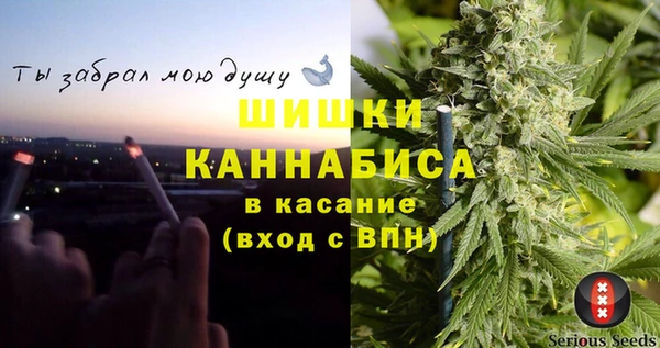 apvp Инсар