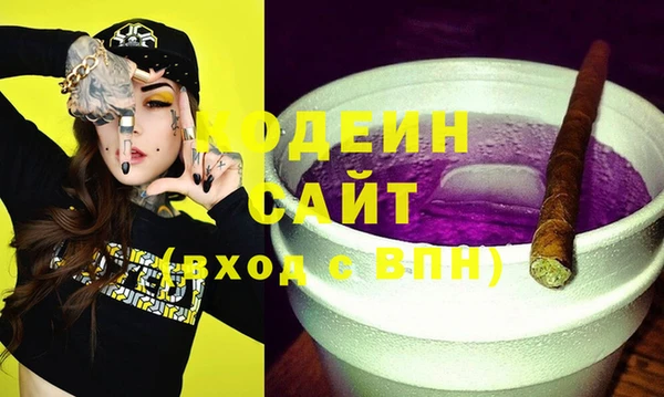 apvp Инсар