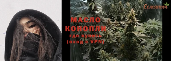 apvp Инсар