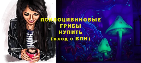 apvp Инсар