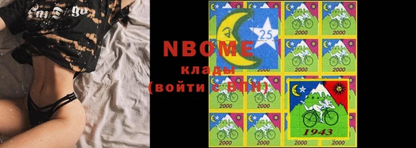 apvp Инсар