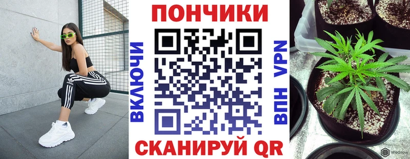 Купить закладки  Бабаево  Канабис семена 
